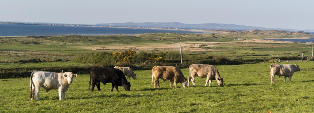 Fort Farmhouse B&B Castlegregory Bagian luar foto