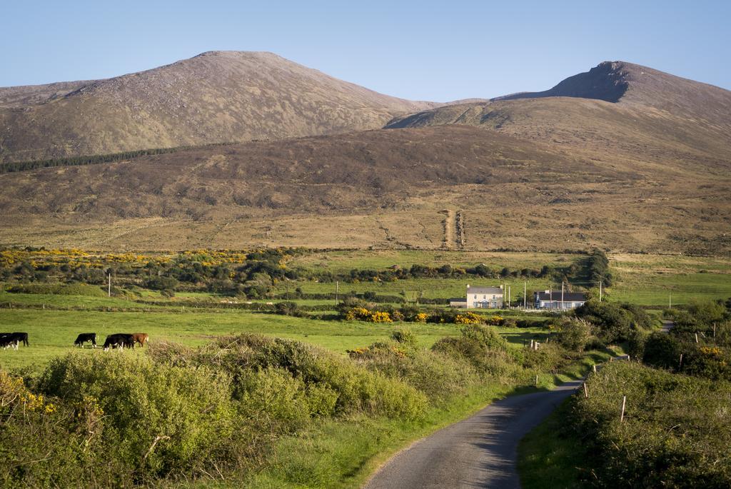 Fort Farmhouse B&B Castlegregory Bagian luar foto